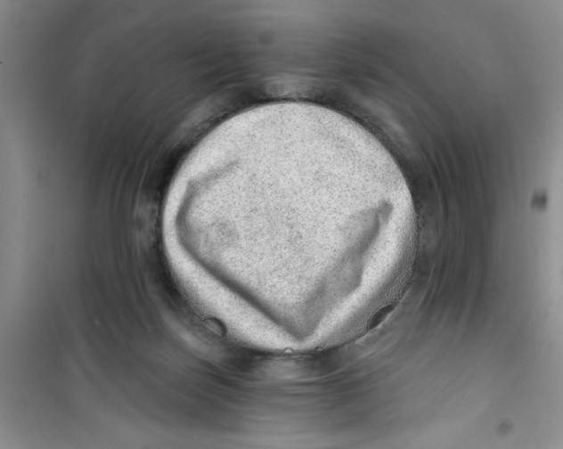 X0000100960171200807221154