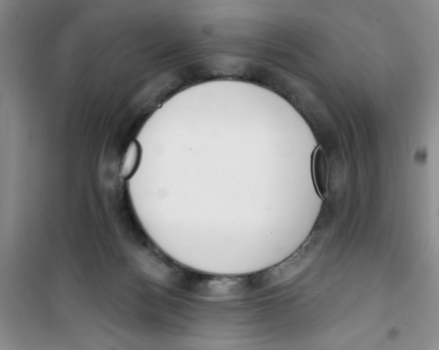 X0000100960172200807221154