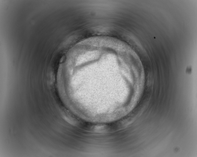 X0000100960173200807221154