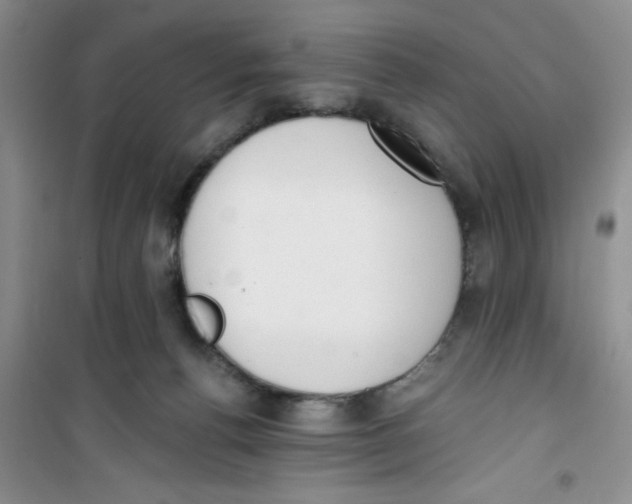 X0000100960176200807221154