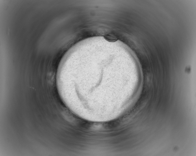 X0000100960177200807221154