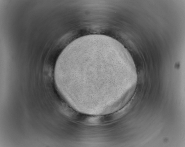 X0000100960178200807221154