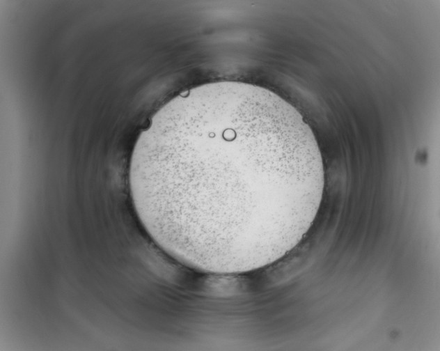 X0000100960181200807221154