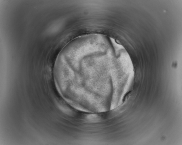 X0000100960183200807221154