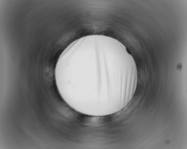 X0000100960184200807221154