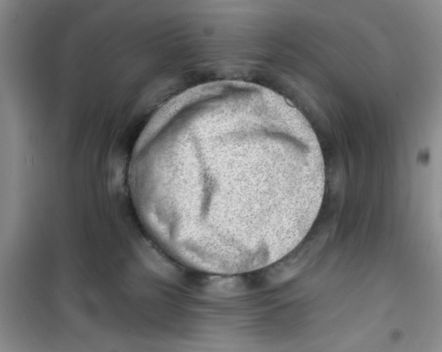 X0000100960185200807221154