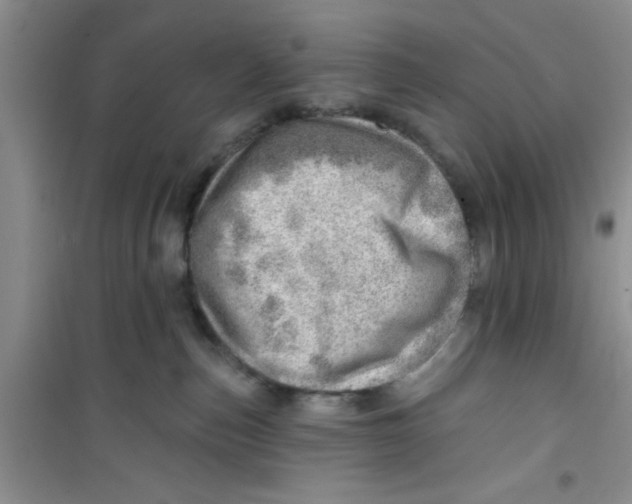 X0000100960187200807221154