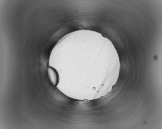 X0000100960188200807221154