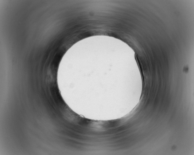 X0000100960190200807221154