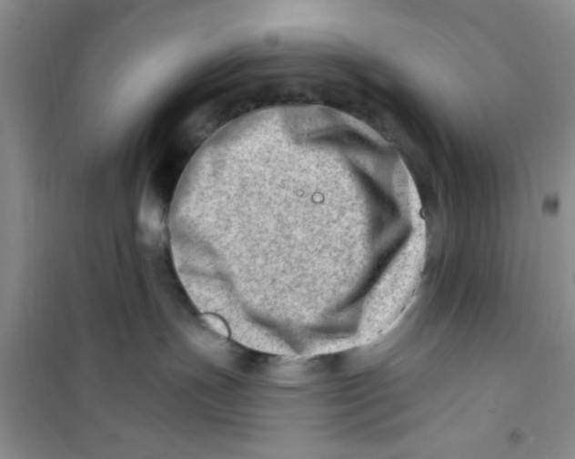 X0000100960191200807221154