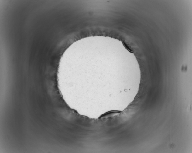 X0000100960192200807221154