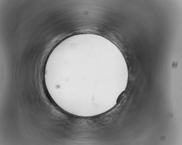 X0000100960193200807221153