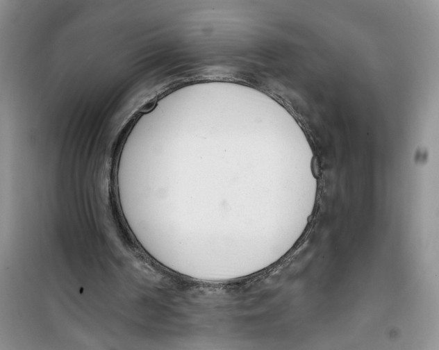 X0000100960194200807221153