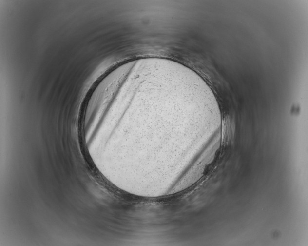 X0000100960195200807221153