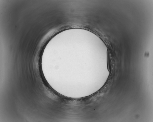 X0000100960197200807221153