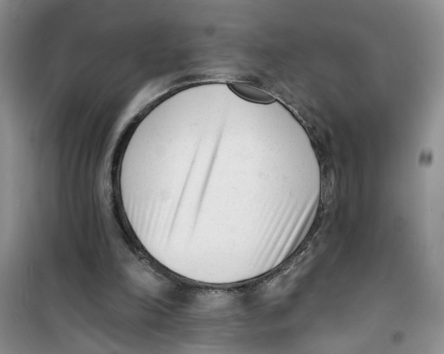 X0000100960198200807221153