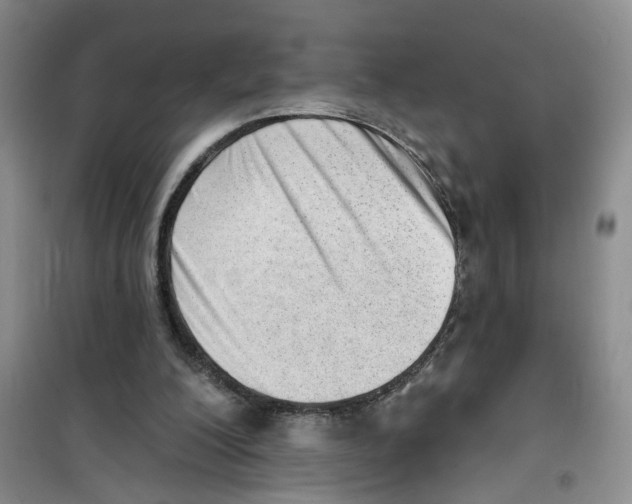 X0000100960200200807221153