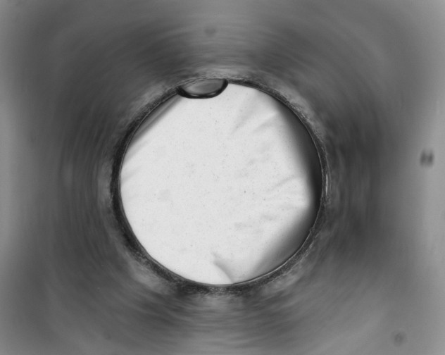 X0000100960201200807221153