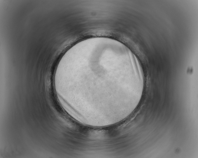 X0000100960202200807221153