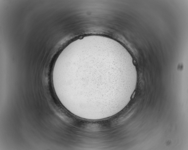 X0000100960203200807221153