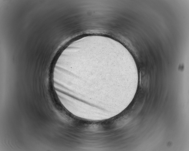 X0000100960204200807221153