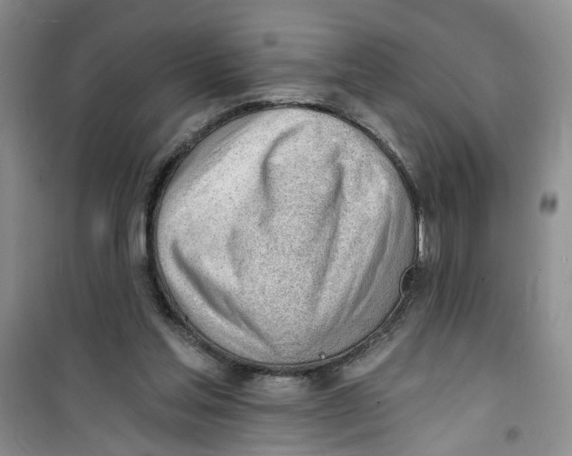 X0000100960205200807221153