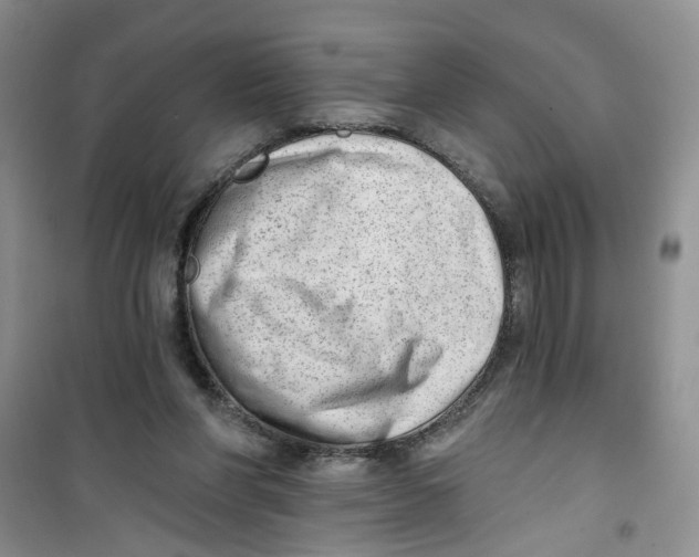 X0000100960206200807221153