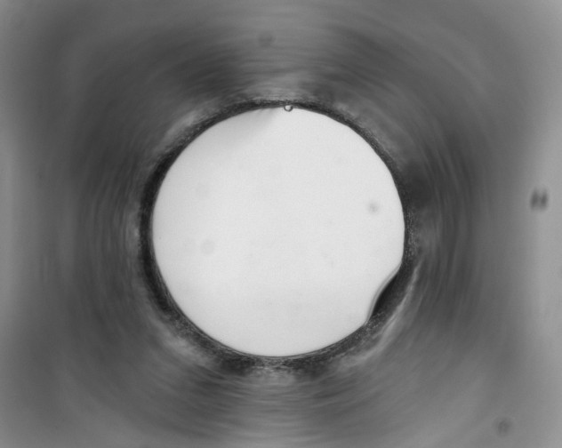 X0000100960207200807221153