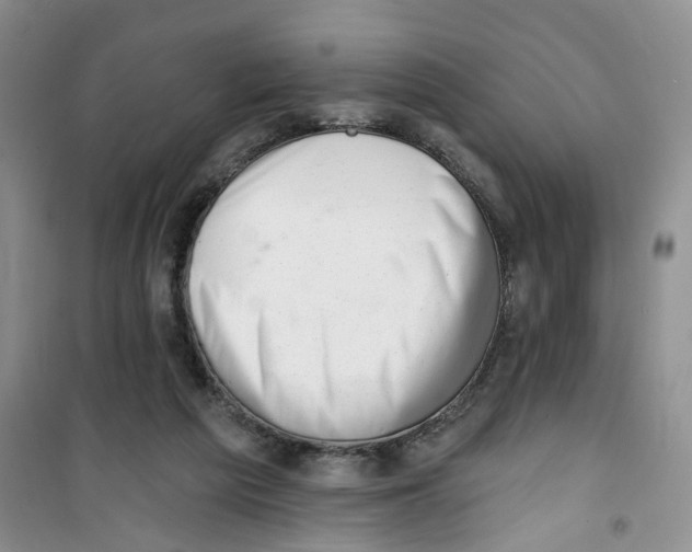 X0000100960209200807221153