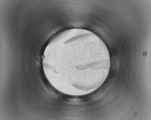 X0000100960212200807221153