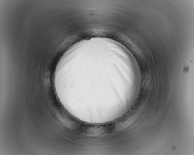 X0000100960213200807221153