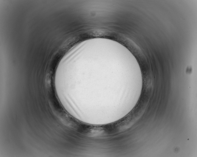 X0000100960214200807221153