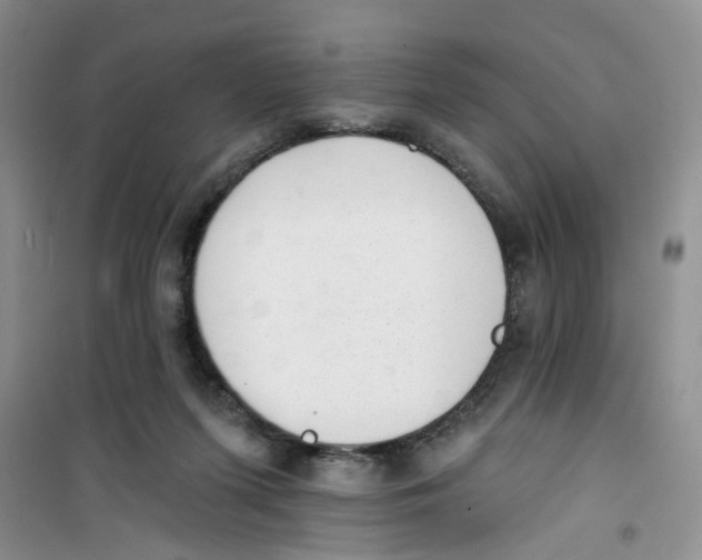 X0000100960215200807221153