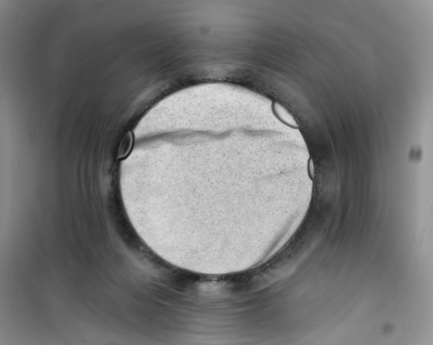 X0000100960216200807221153