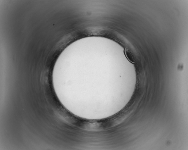 X0000100960217200807221153