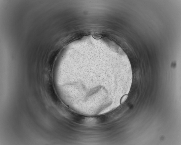 X0000100960218200807221153