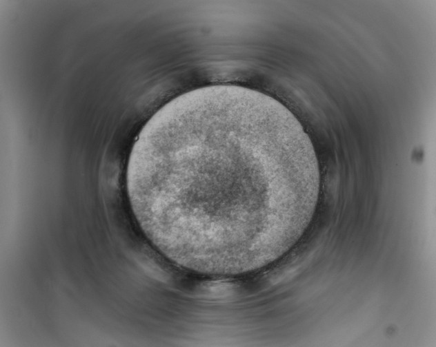 X0000100960219200807221153