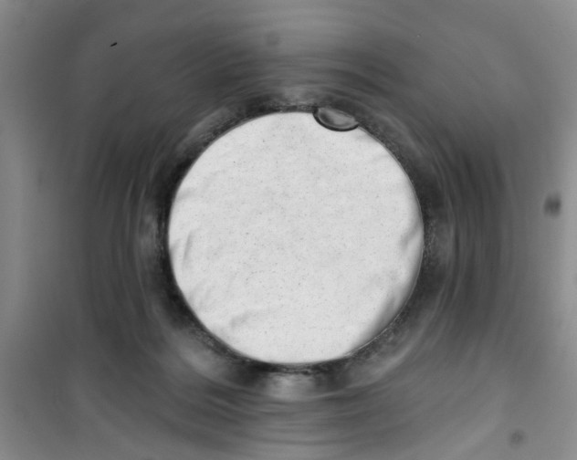 X0000100960220200807221153