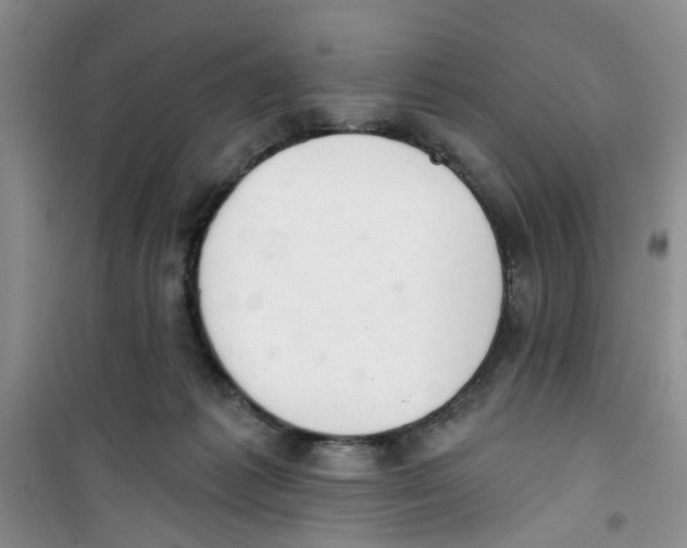 X0000100960221200807221153