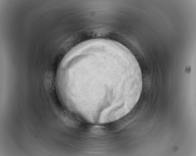 X0000100960222200807221153