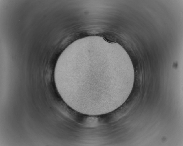 X0000100960227200807221152