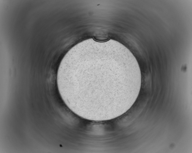 X0000100960228200807221152