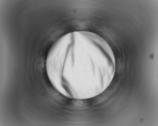 X0000100960230200807221152