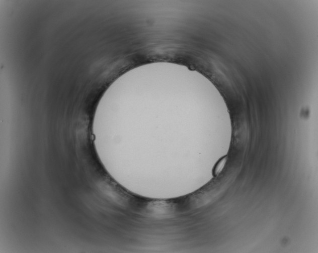 X0000100960231200807221152