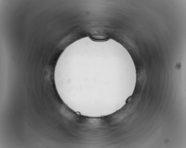 X0000100960233200807221152