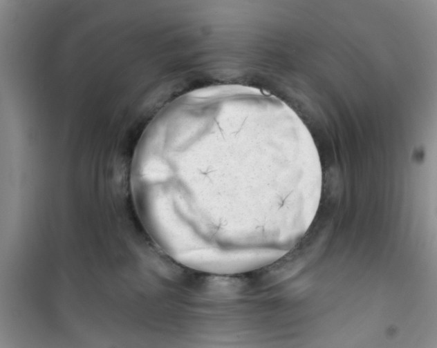 X0000100960234200807221152