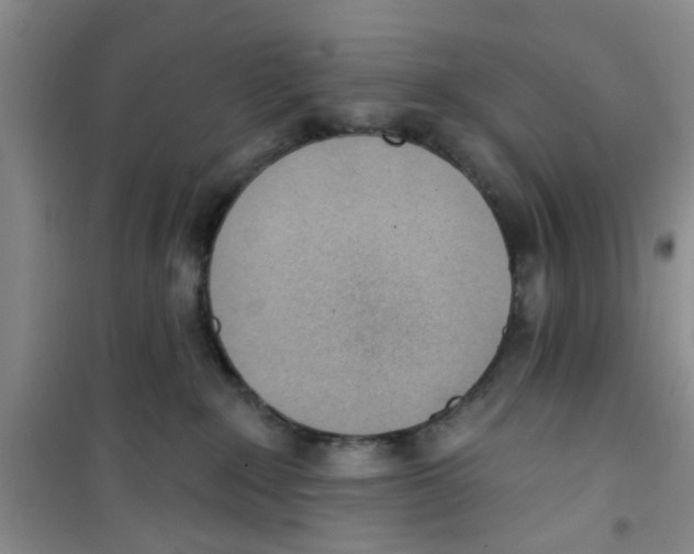 X0000100960235200807221152