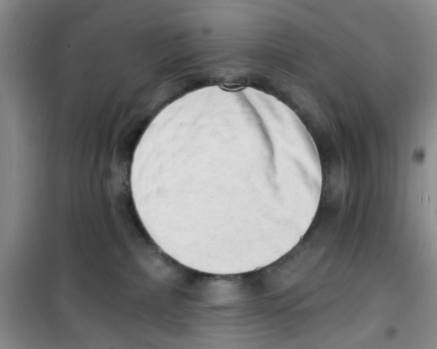 X0000100960236200807221152