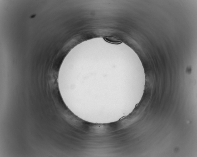 X0000100960237200807221152