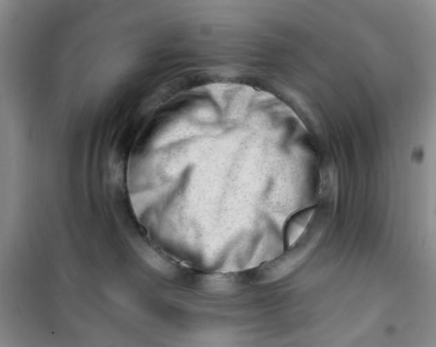 X0000100960238200807221152